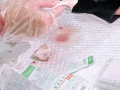-瑞派·关忠动物医院·猫专科·犬专科(三环新城店)