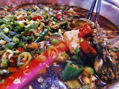 -葡萄园鱼庄(新津店)