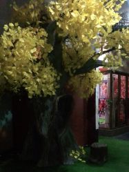 -盘子女人坊生日照·摄影馆(华强店)