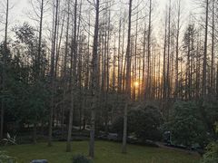 -上海怡沁园度假酒店