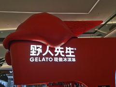 -野人先生现做冰淇淋(北京王府井东方新天地店)