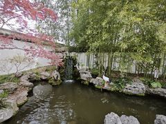 -上海醉白池公园