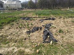 -呼吸森林·生态农庄农家乐私房菜