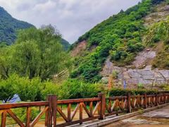 -黑河国家森林公园