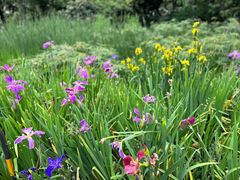 -成都市活水公园