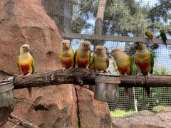 -西霞口神雕山野生动物世界