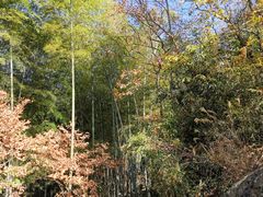 -浮山风景名胜区