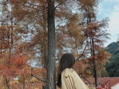 -广州市石门国家森林公园