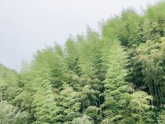 -将军关探险漂流