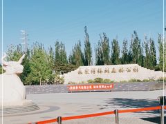 -永定河休闲森林公园