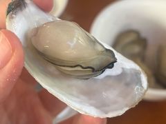 -坛南湾阿强农家乐.海鲜大排档老字号(福州地标美食店)