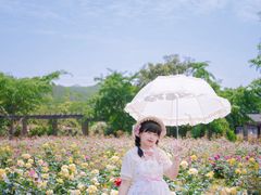 -龙寺生态园