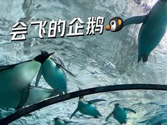 -珠海长隆海洋王国