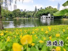 -晓港公园