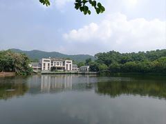 -大屏嶂森林公园