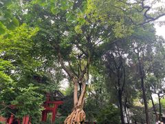 -成都武侯祠博物馆