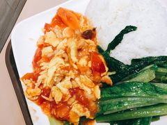 番茄炒蛋饭-都城快餐(新港西路店)