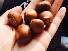 -阿男野栗王(金门路店)