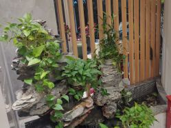 -雅曼妮spa美容养生