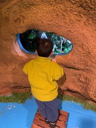 -酷嗒动物文化乐园(cutezoo西溪乐天城店)