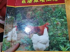 菜单-区海鸡场饭店(石壁店)