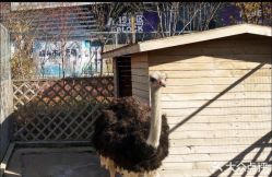 -萌宠亲子动物乐园(槐房万达店)