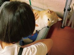 -About Bistro關於·泰式家庭料理