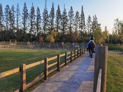 -前小桔亲子创意农场·草莓采摘·露营烧烤