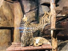 -波塞冬旅游度假区