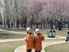 -长春公园(普阳街道)