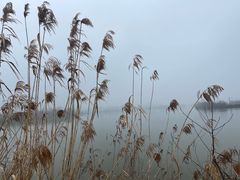 -湖南东洞庭湖国家级自然保护区