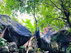 -海南白石岭旅游区