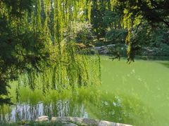 -北京动物园-畅观楼