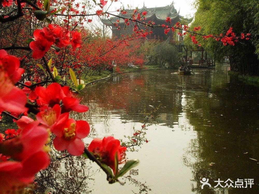 住在双流这个宜居的地方真的贼舒服！下面带你们找一哈