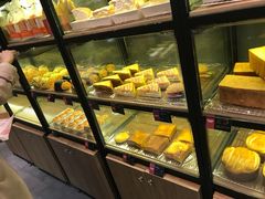 -向阳坊(树兜店)