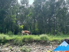 -紫荆关长城漂流