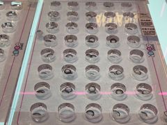 -Sweet Color美瞳隐形眼镜专营店(南翔印象城MEGA店)