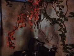 -Mr.Fox狐狸先生超级密室(南山店)