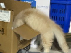 -栾川竹海野生动物园