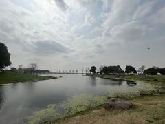 -滆湖低碳生态公园
