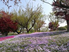 -南通洲际绿博园