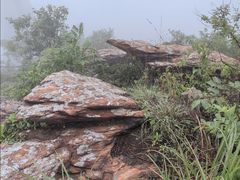 -连云港云龙涧原生态风景区