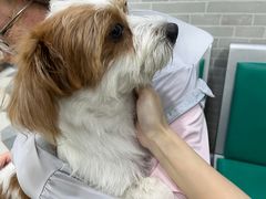 -总动员动物医院(宝丰院店)