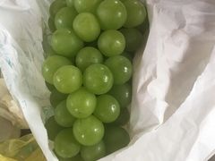 -马陆小张葡萄园农家乐