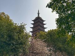 -常熟方塔园