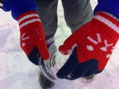 -世界之窗阿尔卑斯冰雪世界