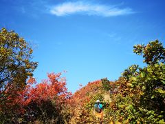 -秦岭风景区