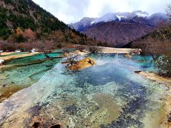 -黄龙山原始森林景区