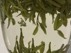 -十八棵（老龙井）御茶园(老龙井店)