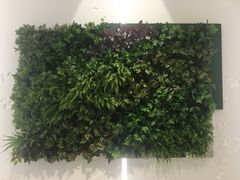 -花园5號餐厅